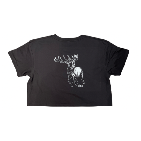 Girls Crop Top- CHARCOAL STAG